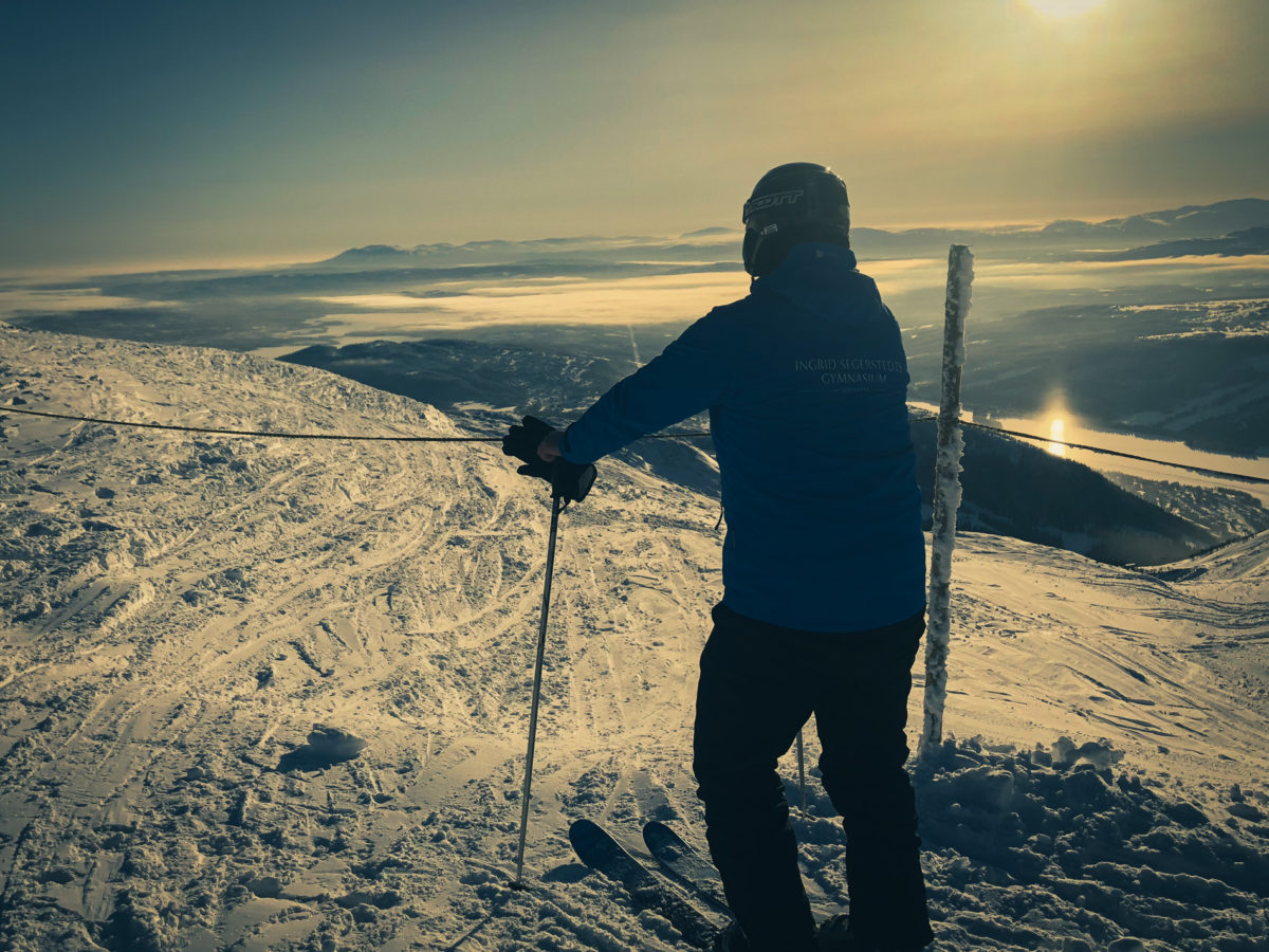 Skidresa
